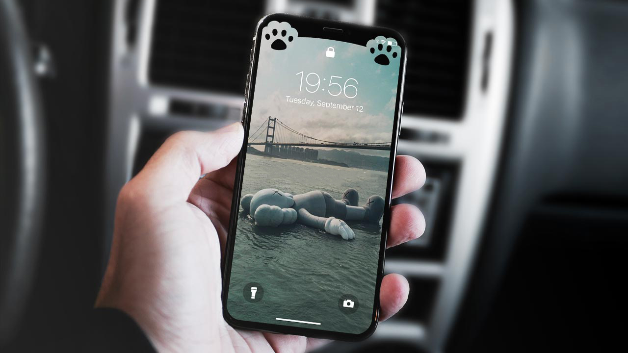Hình nền cực đẹp ẩn tai thỏ Iphone X | Hình nền, Hình nền điện thoại, Iphone